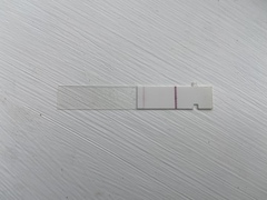 Toot toot, it's the July 2021 TTC Bus arriving early