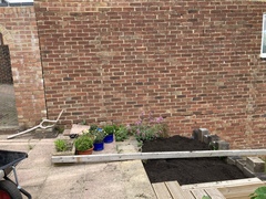 Climbing rose ideas- also, trellis or wire?