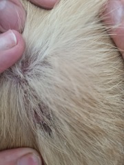 Any idea what this could be? (Photo)