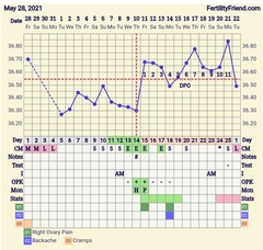 9DPO Symptom Spotting