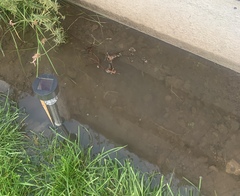 Neighbour has (accidentally) emptied pool into my garden!