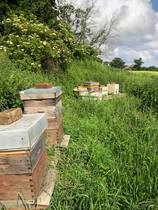 Any Witches Here? Part 14.