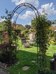 Which DA rose for an arch?