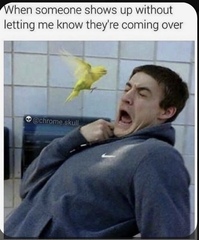 Memes, glorious memes!