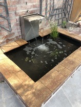 Small pond - keeping fishes happy while away
