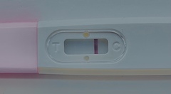 Faint positive after sterilised.