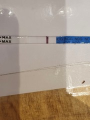 Chemical or pregnancy