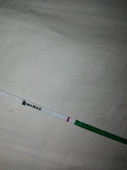First Vue pregnancy tests?