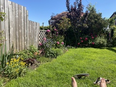 To feel quite pissed off about the lack of summer so far