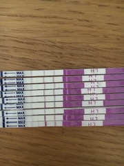 Help - 7 days positive LH test