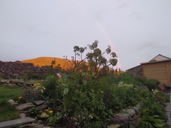 Show Us Your Pictures: 5 Alive