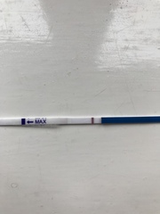 10 dpo