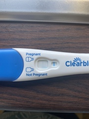 TW: trying to conceive after miscarriage is this positive?