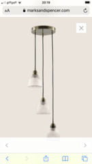 Ceiling rose- large light fitting