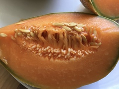 Is this melon ok or off?!