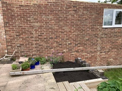 Climbing rose ideas- also, trellis or wire?