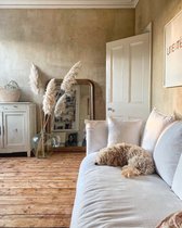 Should I remove dado rail or not?