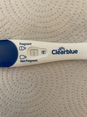 🧙please, fellas impregnate, I’m here to ovulate 🦥