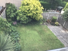 Please help me design my garden!