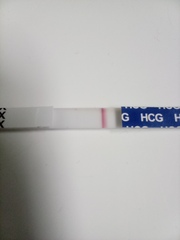 Toot toot, it's the July 2021 TTC Bus arriving early