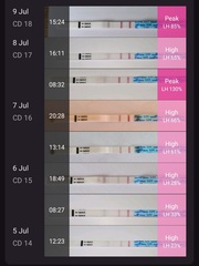9DPO Symptom Spotting