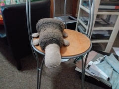 AIBU to be heartbroken the cleaner ruined my platypus?