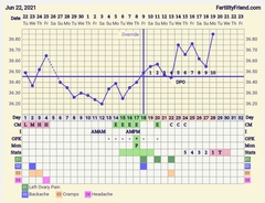 9DPO Symptom Spotting