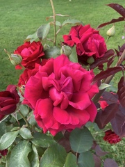 Show Us Your Pictures: 5 Alive