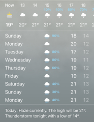 What are you wearing today? May 2021