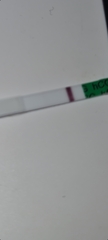 Cd25 of 26 line eyes so confused