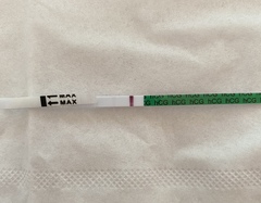 🧙please, fellas impregnate, I’m here to ovulate 🦥