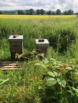 Any Witches Here? Part 14.