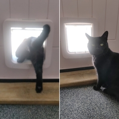 Cat flaps - help!
