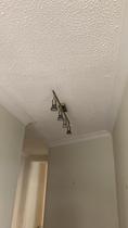 What would you do with these ceilings...?