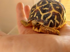 ADs don't want your freedom, ADs don't want to play around