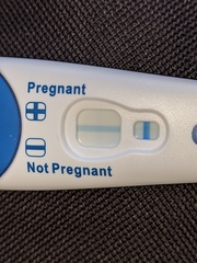 Beginning IUI with donor