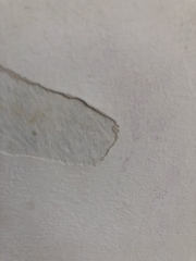 Would I July to you August Frugaleers