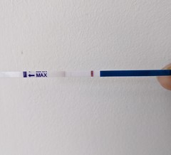 1DPO - The TWW Begins! Anyone Else?