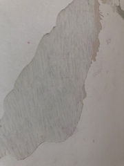 Would I July to you August Frugaleers