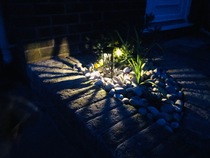 Garden planting and lighting advice