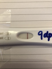 How many DPO did u get a BFP??