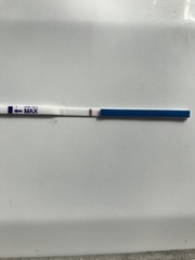 10 dpo