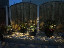 Garden planting and lighting advice