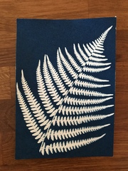 Has anyone done cyanotype?