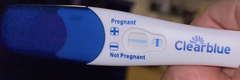 Faint positive after sterilised.