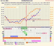 9DPO Symptom Spotting