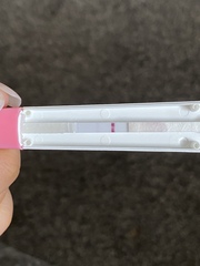 Is this a line.. will it stick?