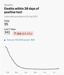 96 dead today...