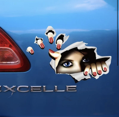Why do people put these stickers on their car?