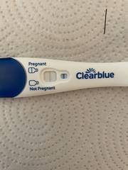 🧙please, fellas impregnate, I’m here to ovulate 🦥